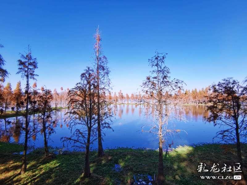油漆墙面