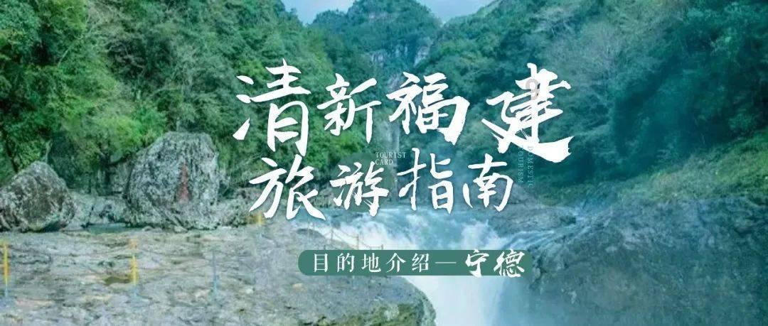 创作猫